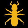 Ant Squashing 2.0