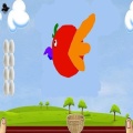Birds Colliding加速器