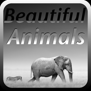 Beautiful Animal Puzzles加速器