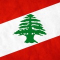 Save The Flag