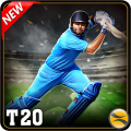 T20 Cricket 2012