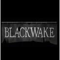 黑色艉流Blackwake加速器