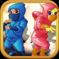 Ninja rescue Princess