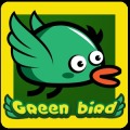 Green Bird