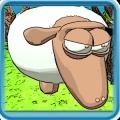 Chop Sheep
