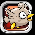 Floppy Birds jumped加速器