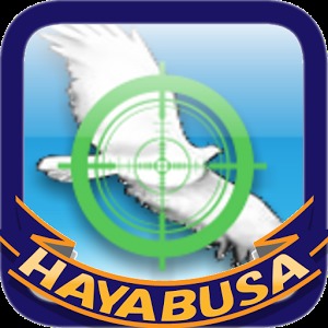 HAYABUSA Bird Shooter加速器