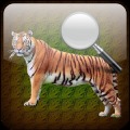 The Zoologist
