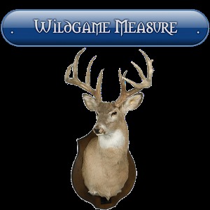 Wildgame Measure加速器