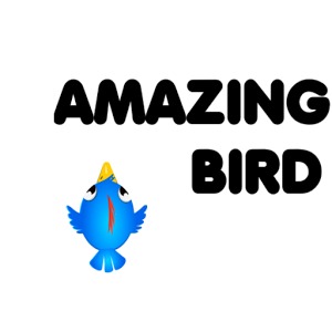 Amazing Bird加速器