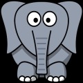 Crazy Elephant