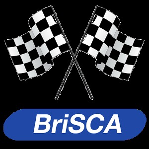 Brisca F1 Stock Car Numbers加速器