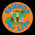 Friends Game Trial