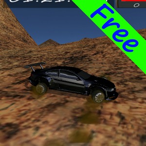 Real Rally 3D加速器