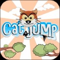 Cat Jump