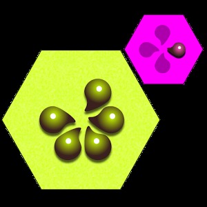 Hexplode Free加速器