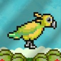 The flying kakapo加速器