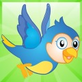 Fruity Bird