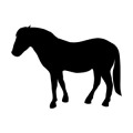 Horsefirm