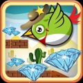Desert Bird Run
