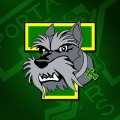 Portage Terriers