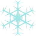 Snow Flakes