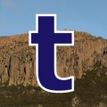 thesarvo