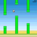 Birdy Flapper加速器