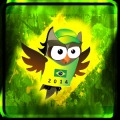 Brazil Owl