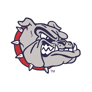 Gonzaga WBB AR Panoview加速器