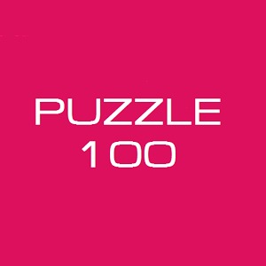 Puzzle 100加速器