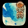 Squid