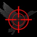 AR Duck Hunt