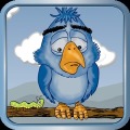 Lonely Bird