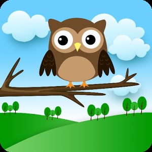 Stupid Owl !