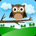 Stupid Owl !