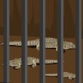 EscapeZoo