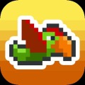 Flap For Life