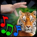 Little Discoverer for Kids