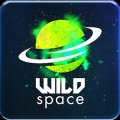 Wild Space