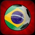 World Cup Goalie 2014加速器