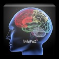 BHUPUZZ