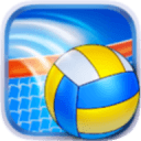 Volleyball Champions 3D 2014加速器