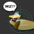 Catch Duck加速器