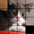 Animals Puzzles