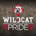 DAVIDSON WILDCAT PRIDE