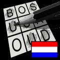LogiBrain Words NL