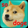 Doge Ball: The Quest for Coins