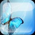 Beautiful Butterfly Dash World