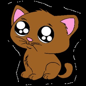 Pet Care加速器